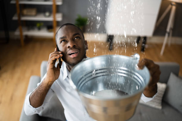 Best 24-hour water damage restoration  in Bayou Lourse, LA
