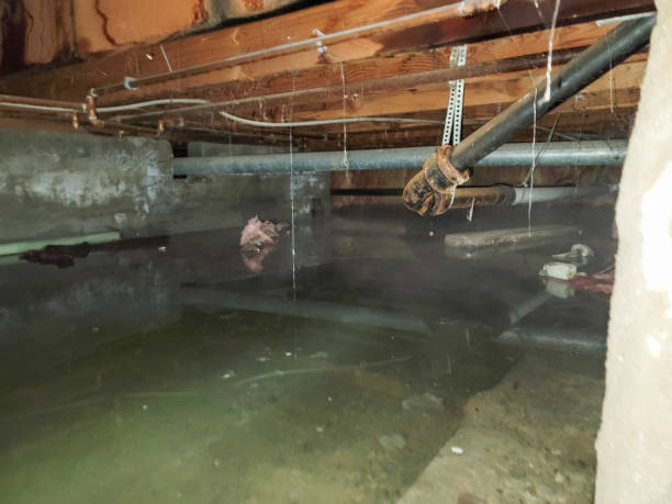 Professional Water damage restoration in Bayou Lourse, LA