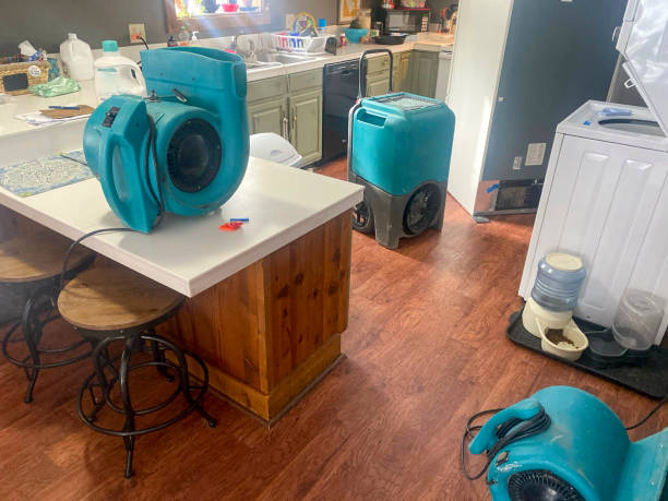Best Water damage restoration near me  in Bayou Lourse, LA