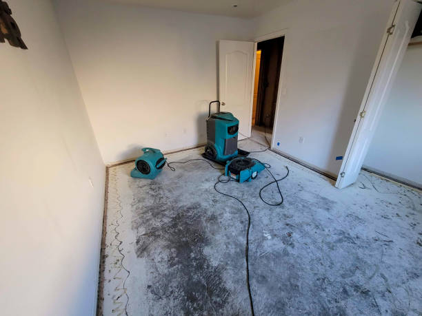 Best Flood restoration services  in Bayou Lourse, LA