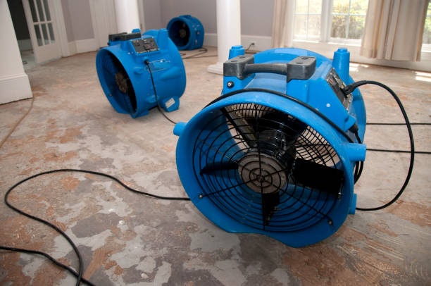 Best Water damage restoration near me  in Bayou Lourse, LA