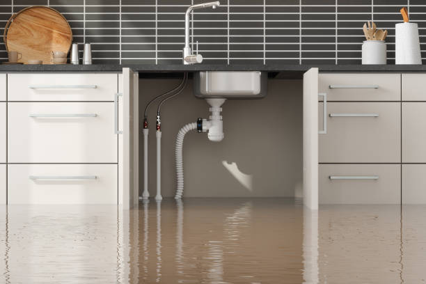Best Residential water damage restoration  in Bayou Lourse, LA