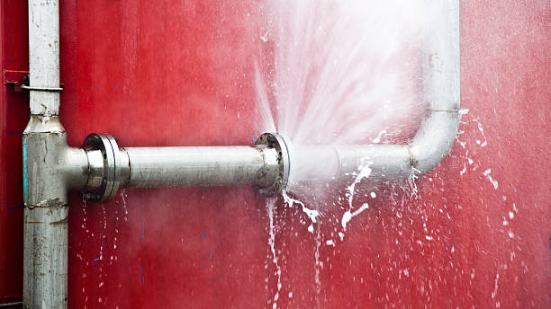 Best Carpet water damage restoration  in Bayou Lourse, LA